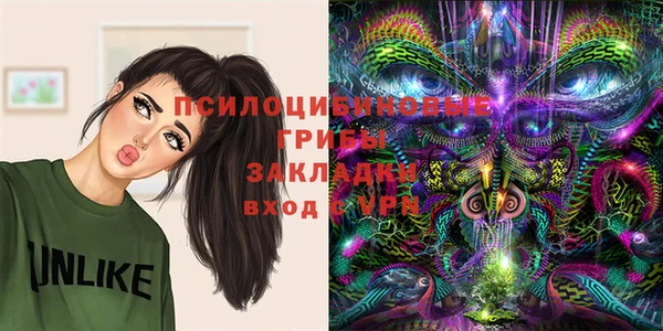 прущая мука Богородск