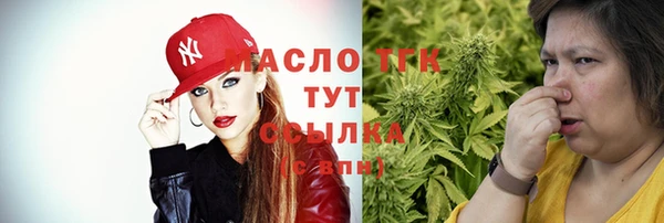 шишки Богородицк