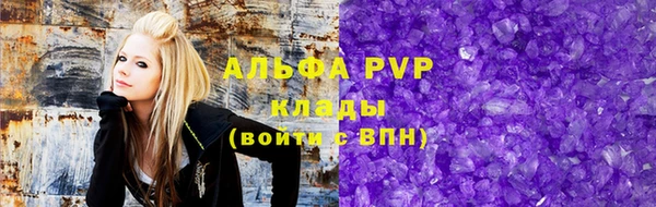 шишки Богородицк